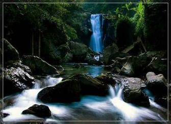 Water Scene