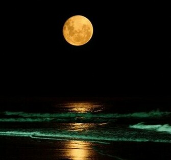 Beach At Night Wallpaper