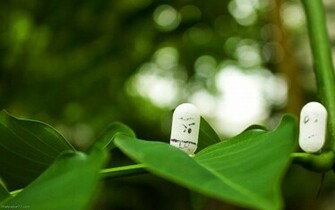 Cute Wallpaper Funny Fun Pills