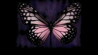 Wallpaper Pink Butterfly HD Background Desktop