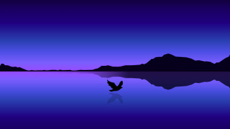 Bird Flying Over Ocean Minimal 4k Wallpaper HD Artist Image