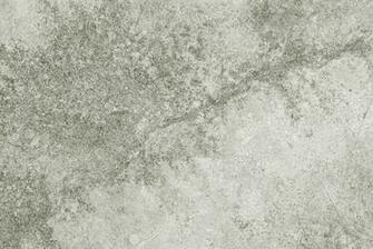 Neutral Background Babaimage