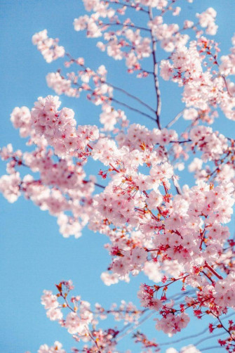Aesthetic iPhone Wallpaper Top Background