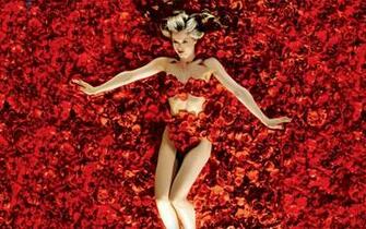 Photography American Beauty Girl Red Roses Many Wallpaper