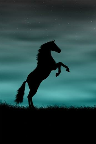 Farhan Jarajrah On Cowboy Hours In Horse Wallpaper