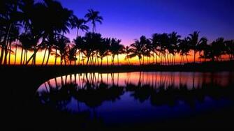 Computer Tropical Wallpaper Desktop Background