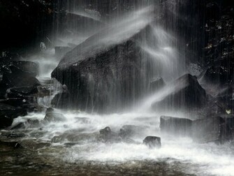 Black And White Nature Photography Wallpaper X