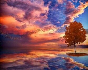 Autumn Wallpaper National Geographic High Definition