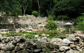 Beautiful Pond Wallpaper