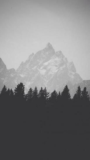 Apple iPhone Plus Background Wallpaper