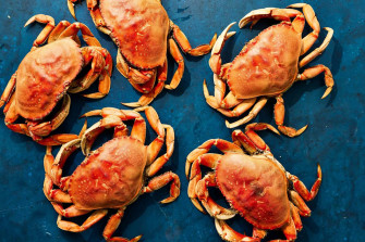 The Complete Guide To Dungeness Crab Wallpaper