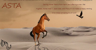 Asta Banner No Use By Spottedducks