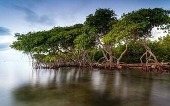 Swamp People Desktop Earth Wallpaper