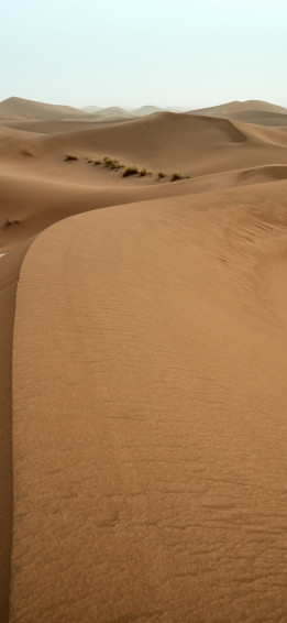 Of Desert iPhone X Wallpaper