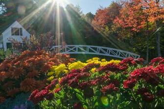 Maine Foliage Photo Gallery