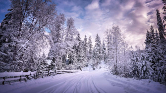 Christmas Snow Wallpaper