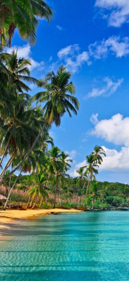 Caribbean Beach Wallpaper