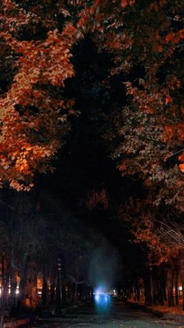 Armenia Autumn Night Background HD Wallpaper iPhone 5s