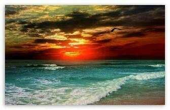 Tropical Sunset HD Wallpaper For Standard Fullscreen Uxga Xga