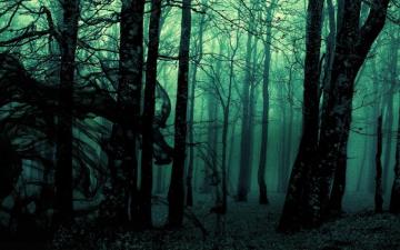 Forest Landscape Dark Nature Trees Photo Manipulation Gloomy