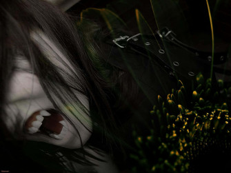 Vampire Aesthetic Wallpaper