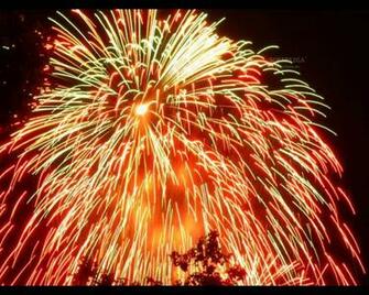 Spectacular Fireworks Screensaver This Is One Of The Image