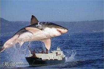 Air Jaws Worth1000 Contests