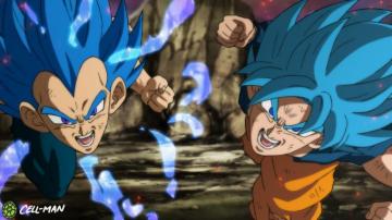 Goku Vegeta Ssb By Therealcellman HD Wallpaper Background