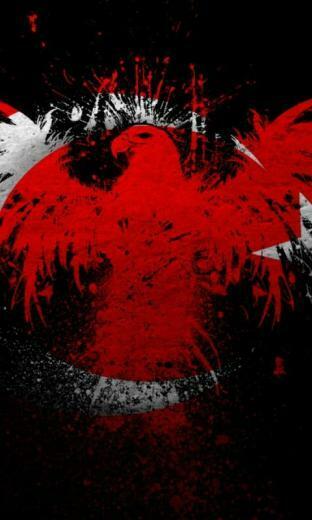 Eagle Flag Wallpaper HD Background Ho