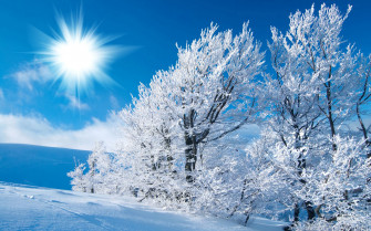 Winter Scenes For Desktop Background Wallpaper
