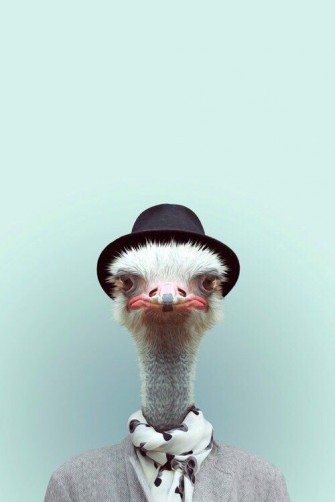 Here S Awesome iPhone Wallpaper