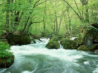 Nature Photography Spring Wallpaper Scene