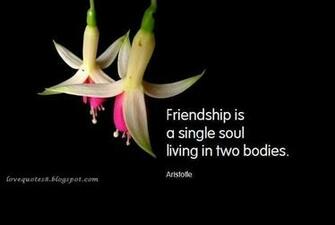 Love Quotes Friendship Quotations Messages Image