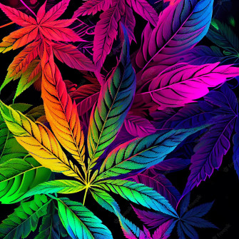 Weed Aesthetic Wallpaper
