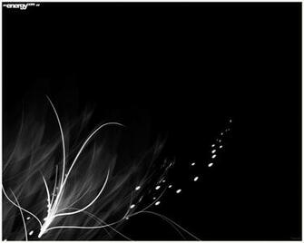 Crazy Pictures Black And White
