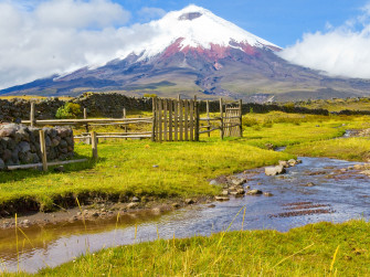 Ecuador Wallpaper Notebook