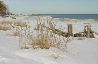 Winter Beach Scenes Scene