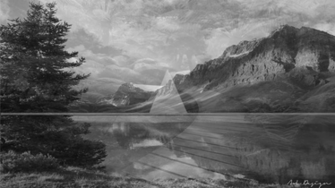 Lexy On New Background Nature B W Rt Are Appreciated