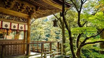 HD Wallpaper Tree Balcony Countryside Street Alley Hacienda