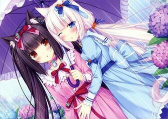 Nekopara Know Your Meme