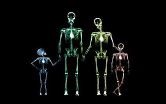 Skeleton Pack Live Wallpaper For Android Apk