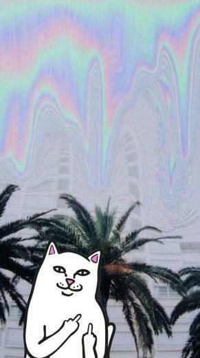 Ripndip iPhone Wallpaper For Your
