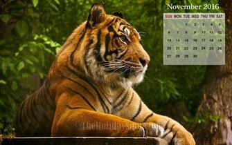 November Calendar Wallpaper