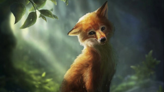Cute Fox