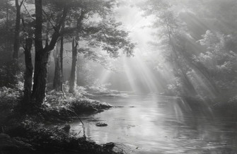 Black And White Nature Wallpaper