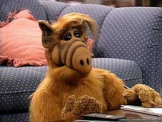 Alf Wallpaper Crazy Frankenstein
