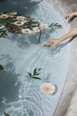 Loewe Baby Flower Aesthetic Pastel Photography