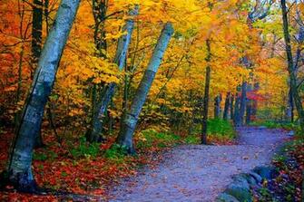 Cute Autumn Quotes Newhairstylesformen2014