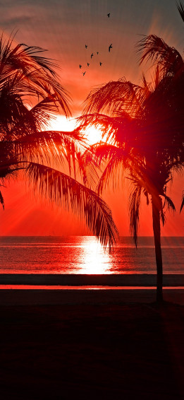 Vacation Wallpaper On