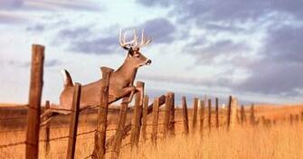 Heartland Habitat Your Friend In The Outdoors